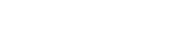 Bestattungsinstitut Detlev Will Herzberg (Elster) - Logo